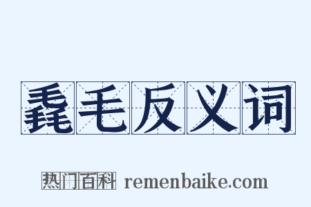 毳毛反义词是什么意思的图片